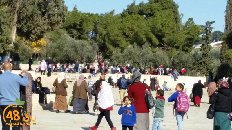 quds a7bab aqsa (20).JPG